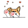 Pa' tu chat📱💬 MOV 13