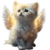 Gatitos💞1🇵🇪Clásica 8
