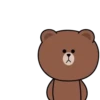 Brown and Cony 11