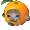 Divertidos 6