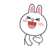 Brown and Cony 12