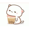 Peach cat 12
