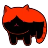 轉轉貓 11