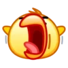 цыпленок 13