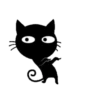 Black Cat 2 8