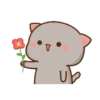 Mochi peach cat II 12