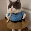 Cute Kitty pack 13