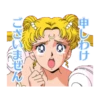 Pretty Guardian Sailor Moon (Animated) 9