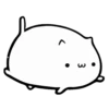 WHITE KITTEN 6
