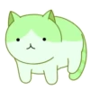 轉轉貓 13