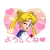 Pretty Guardian Sailor Moon (Animated) 11