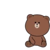 Brown and Cony 14