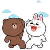 Brown and Cony 15