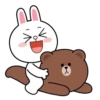 Brown and Cony 16