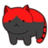 轉轉貓 14