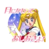 Pretty Guardian Sailor Moon (Animated) 13