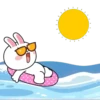 Brown and Cony 3 10