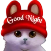 Gatitos💞1🇵🇪Clásica 14