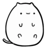 WHITE KITTEN 10