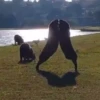 Capibara 1 MOV 14