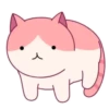轉轉貓 16