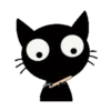 Black Cat 2 12