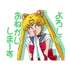 Pretty Guardian Sailor Moon (Animated) 15
