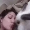 Conejo 2 8
