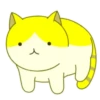 轉轉貓 19