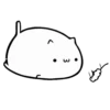 WHITE KITTEN 13