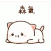 Peach cat 16