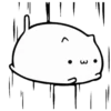 WHITE KITTEN 14
