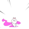 Brown and Cony 19