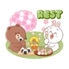 Brown FD smile in spring 14