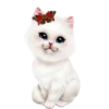Gatitos💞1🇵🇪Clásica 17