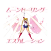Pretty Guardian Sailor Moon (Animated) 18
