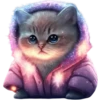 Gatitos💞1🇵🇪Clásica 18