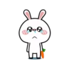 Hyper RAbbit 15
