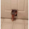 VideoCats 13