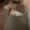 Cute Kitty pack 21