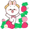 Brown and Cony 2 16