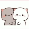 Peach cat 19