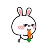 Hyper RAbbit 16