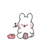 Yumyum RAbbit 8