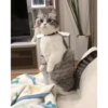 Cute Kitty pack 22