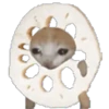 Divertidos 15