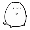 WHITE KITTEN 16