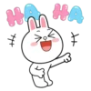 Brown and Cony 20