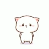 Mochi peach cat II 25