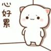 Peach cat 20